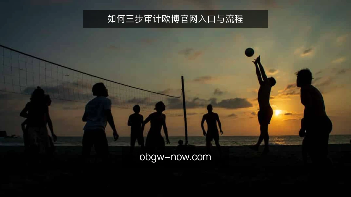 如何三步审计欧博官网入口与流程