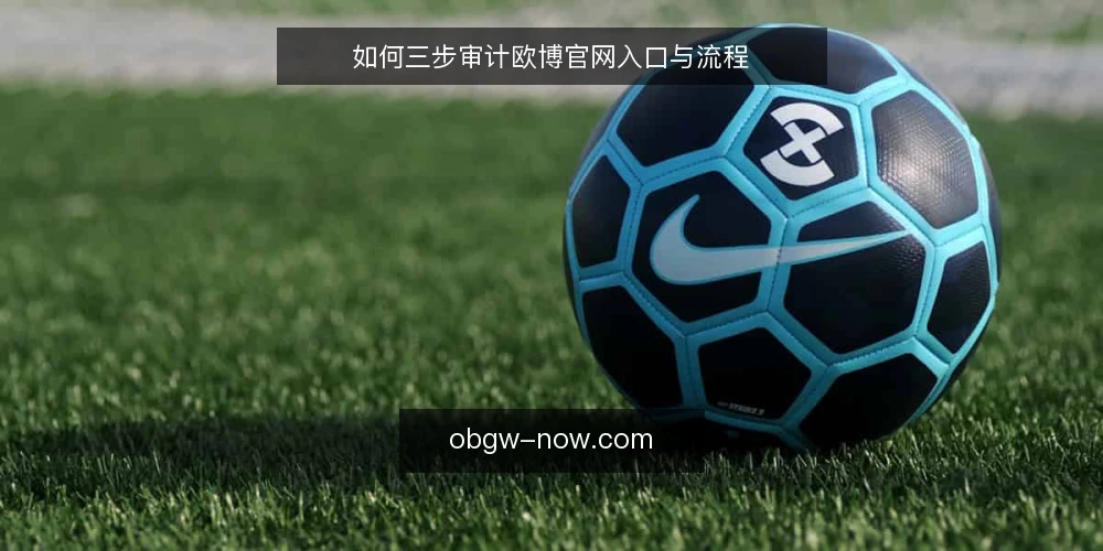 如何三步审计欧博官网入口与流程 — 为何现在审计欧博官网入口 配图