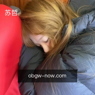 苏哲